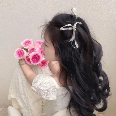 侠岚第四季