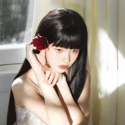 恋恋飞翔